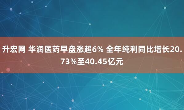 升宏网 华润医药早盘涨超6% 全年纯利同比增长20.73%至40.45亿元