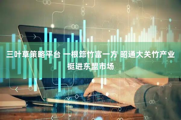 三叶草策略平台 一根筇竹富一方 昭通大关竹产业挺进东盟市场