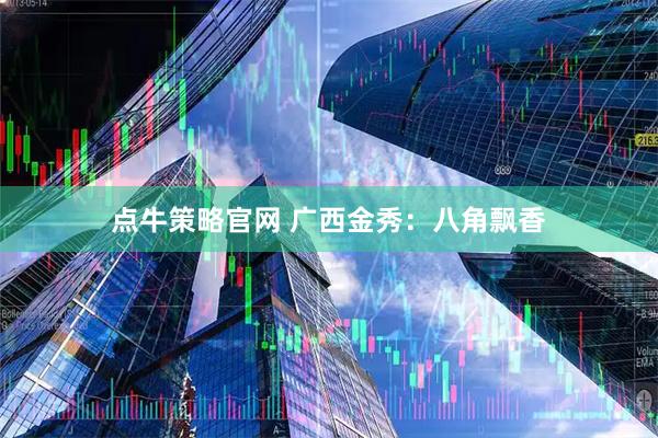 点牛策略官网 广西金秀：八角飘香
